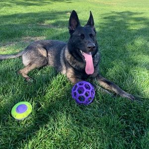 Meet your Posher, Patrick